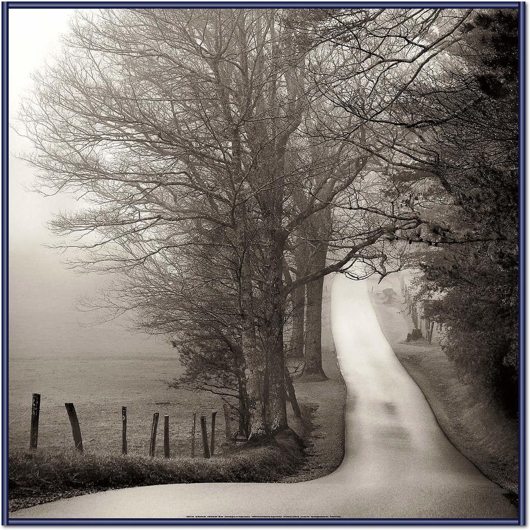 Cades Cove                       von Nicholas Bell