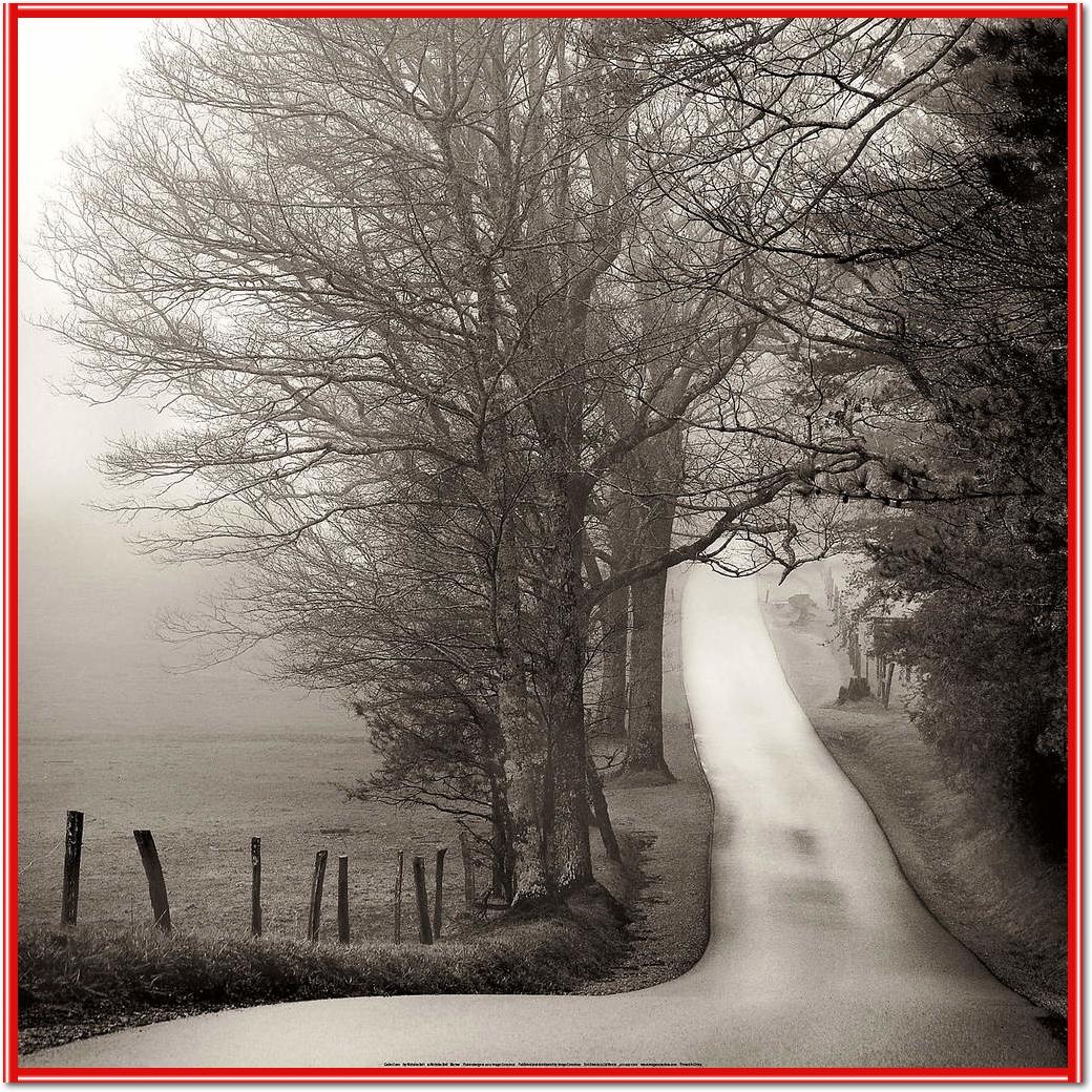 Cades Cove                       von Nicholas Bell