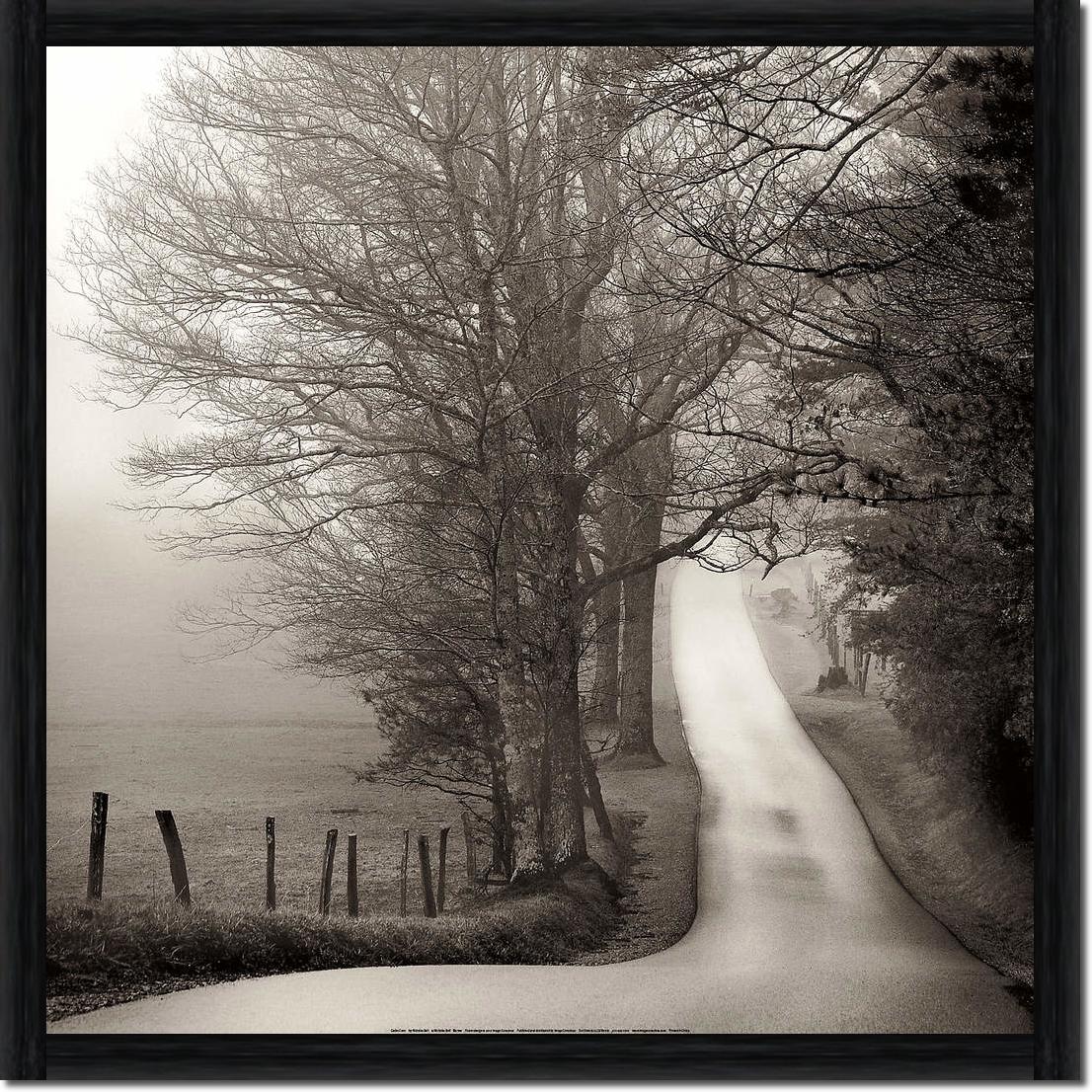 Cades Cove                       von Nicholas Bell