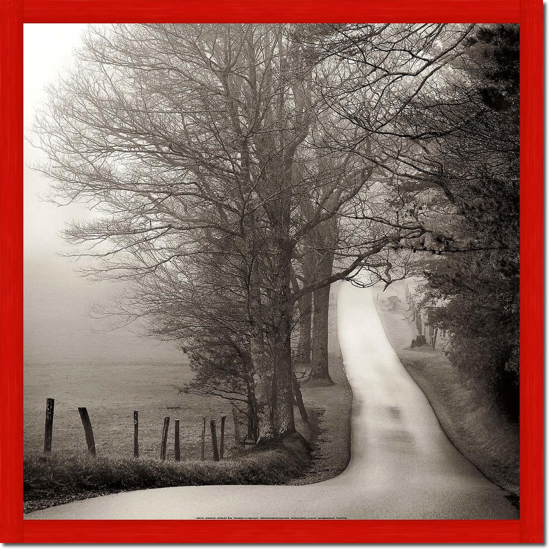 Cades Cove                       von Nicholas Bell