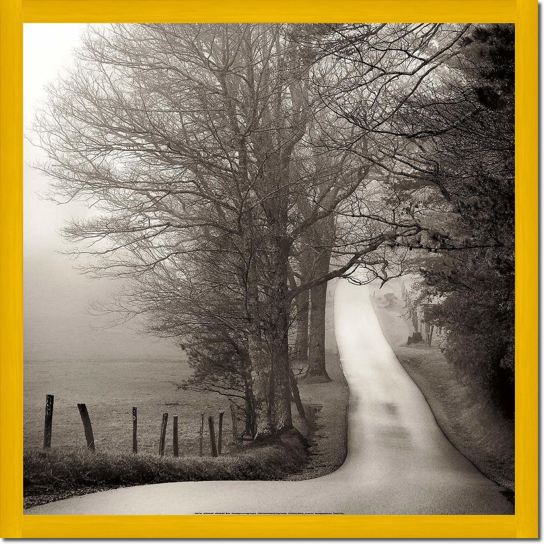 Cades Cove                       von Nicholas Bell