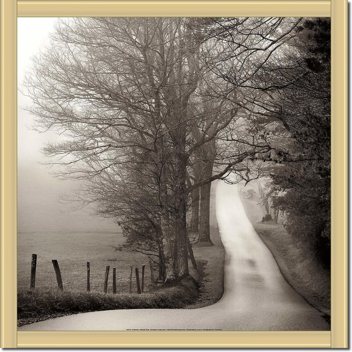 Cades Cove                       von Nicholas Bell