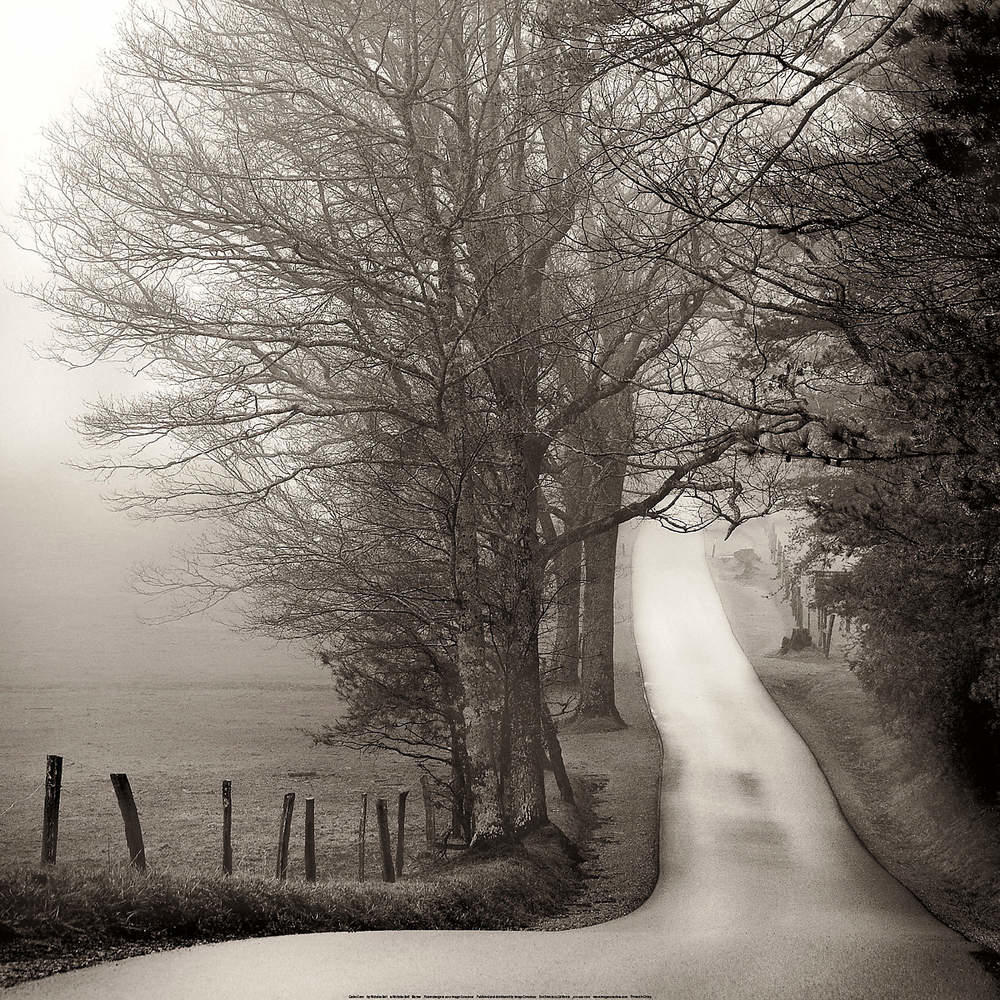 Cades Cove                       von Nicholas Bell