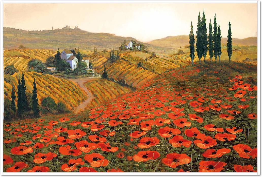 Hills of Tuscany II              von Steve Wynne