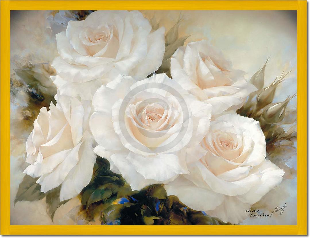 White Roses                      von Igor Levashov