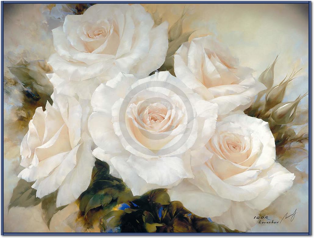 White Roses                      von Igor Levashov