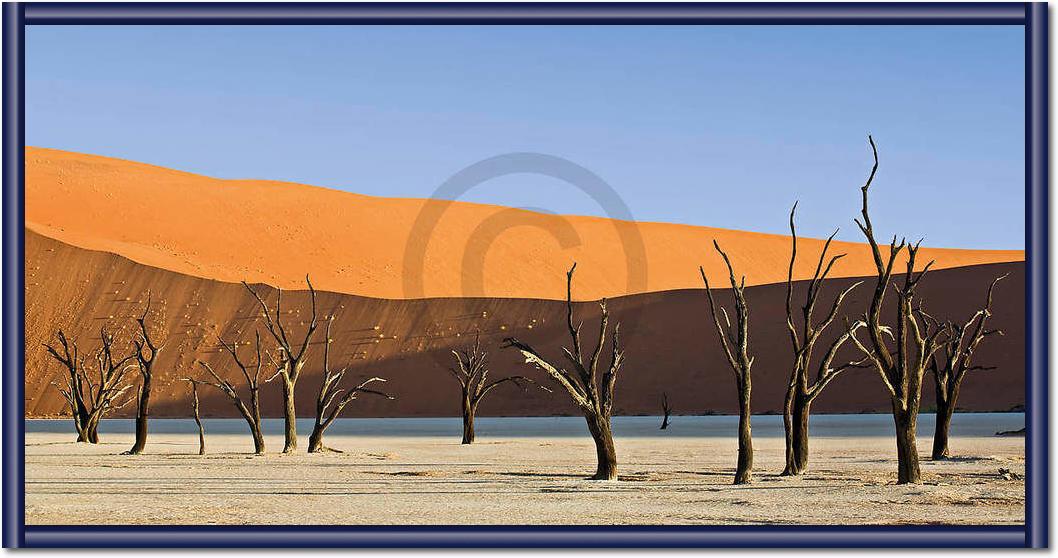 Dead Vlei                        von Rainer Mirau