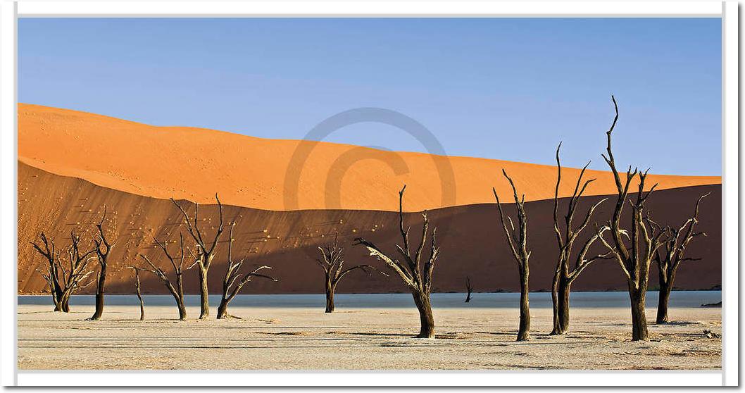 Dead Vlei                        von Rainer Mirau