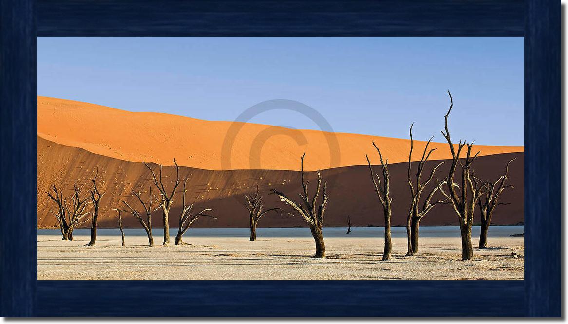 Dead Vlei                        von Rainer Mirau