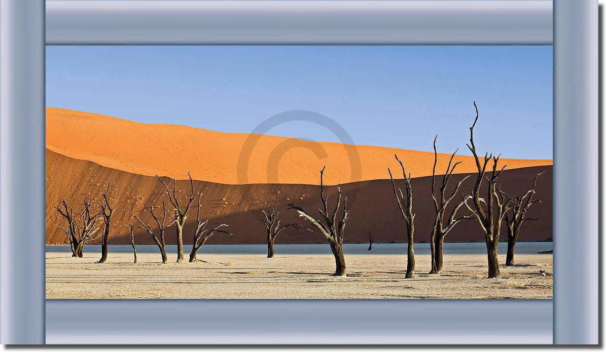 Dead Vlei                        von Rainer Mirau