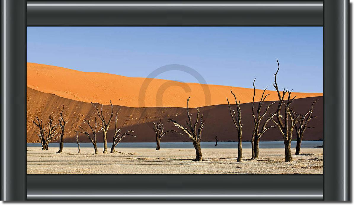 Dead Vlei                        von Rainer Mirau