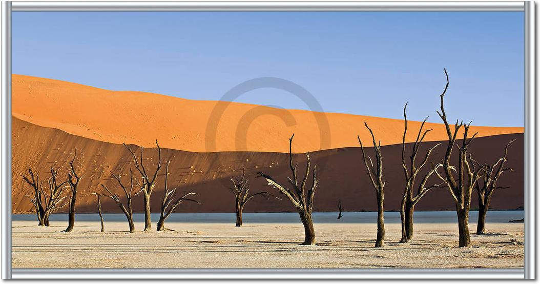 Dead Vlei                        von Rainer Mirau