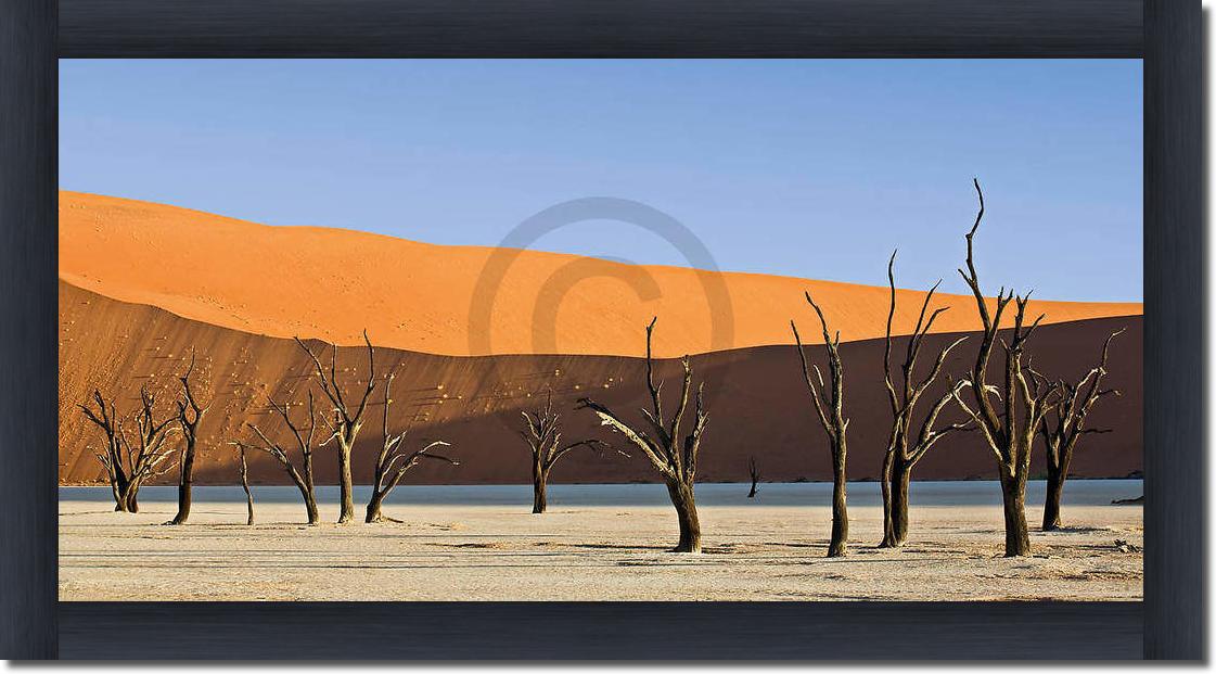 Dead Vlei                        von Rainer Mirau