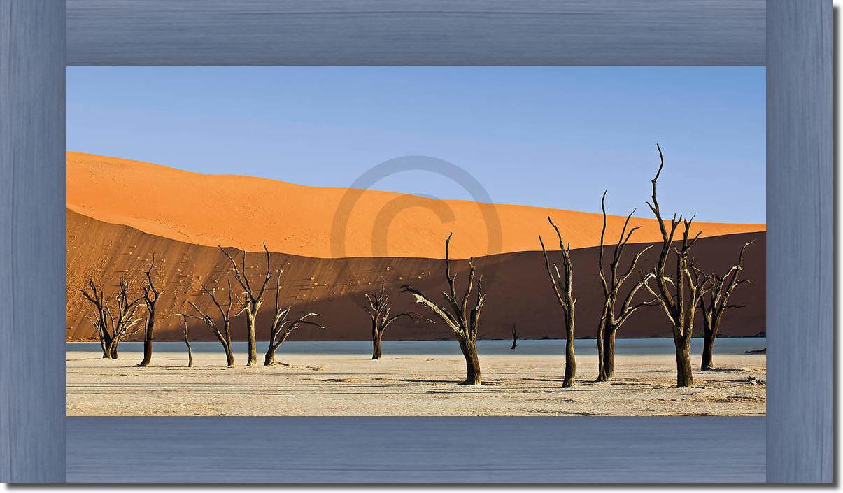 Dead Vlei                        von Rainer Mirau