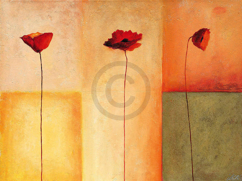 Dreierlei Mohn II                von Erika Heinemann