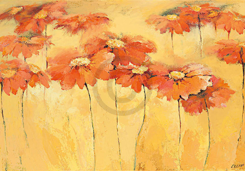 Feldblumen III                   von Elena Filatov