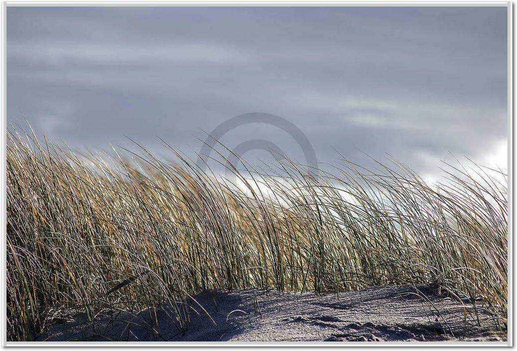 Insel Sylt II                    von Gerhard Rossmeissl