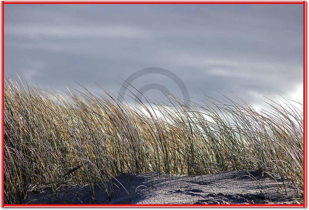 Insel Sylt II                    von Gerhard Rossmeissl