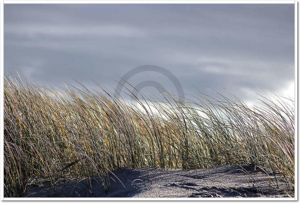 Insel Sylt II                    von Gerhard Rossmeissl