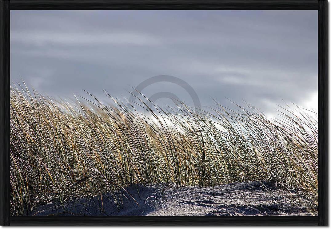 Insel Sylt II                    von Gerhard Rossmeissl