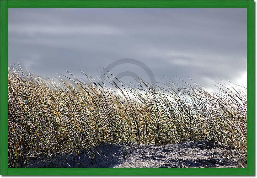 Insel Sylt II                    von Gerhard Rossmeissl