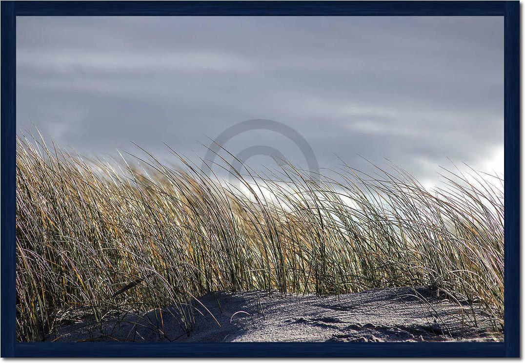 Insel Sylt II                    von Gerhard Rossmeissl