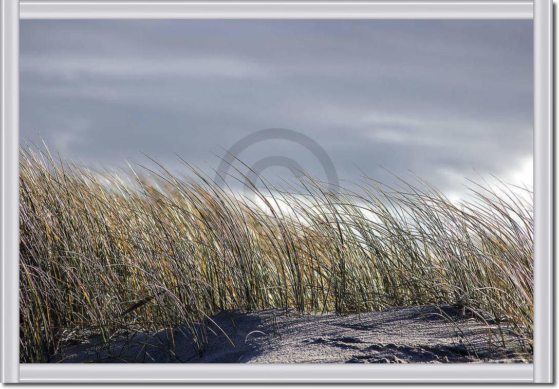 Insel Sylt II                    von Gerhard Rossmeissl