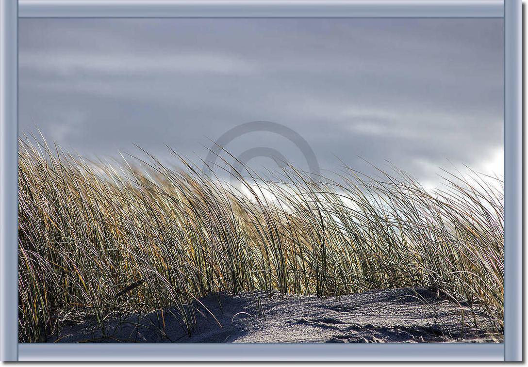 Insel Sylt II                    von Gerhard Rossmeissl