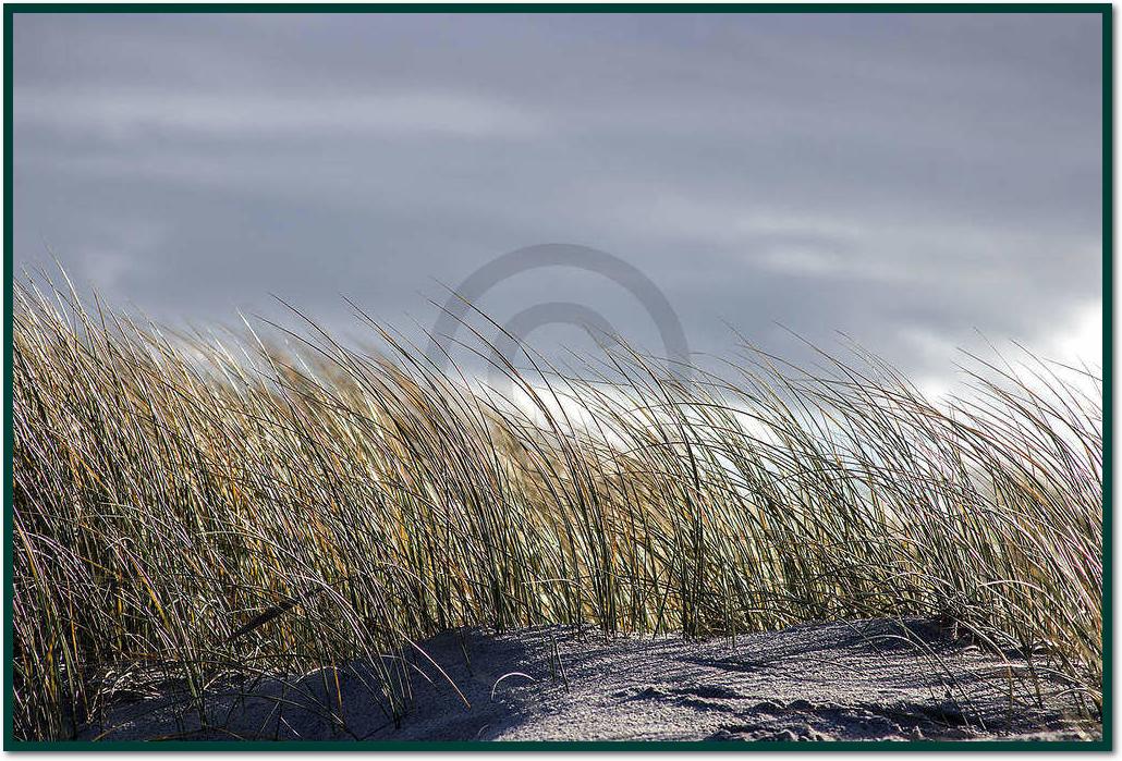 Insel Sylt II                    von Gerhard Rossmeissl