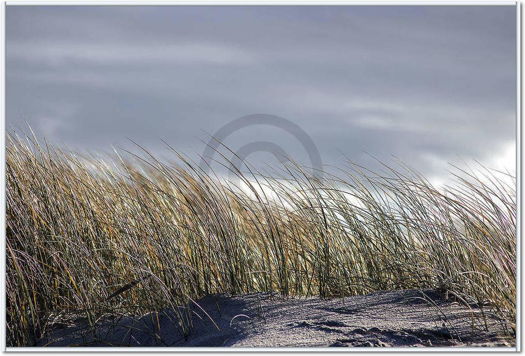 Insel Sylt II                    von Gerhard Rossmeissl