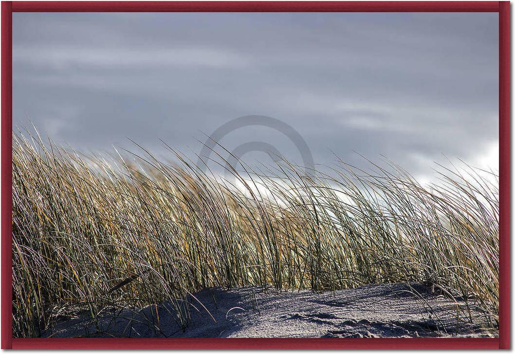 Insel Sylt II                    von Gerhard Rossmeissl