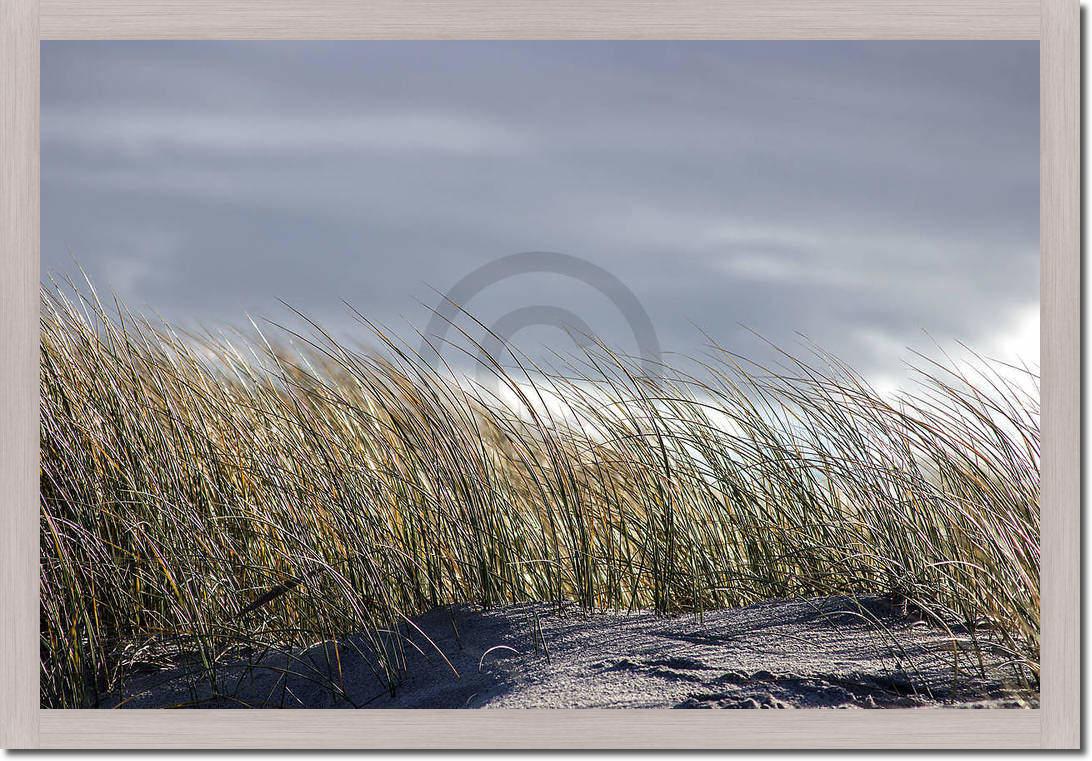 Insel Sylt II                    von Gerhard Rossmeissl