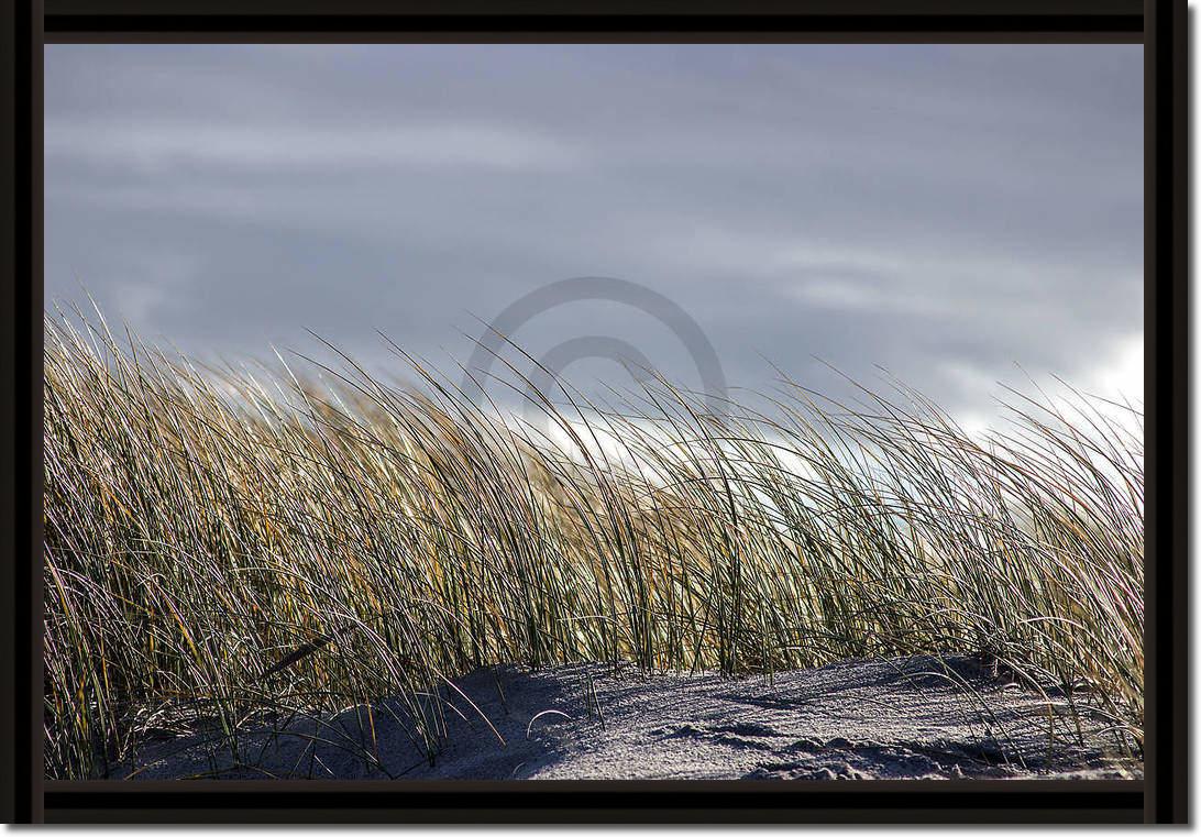 Insel Sylt II                    von Gerhard Rossmeissl