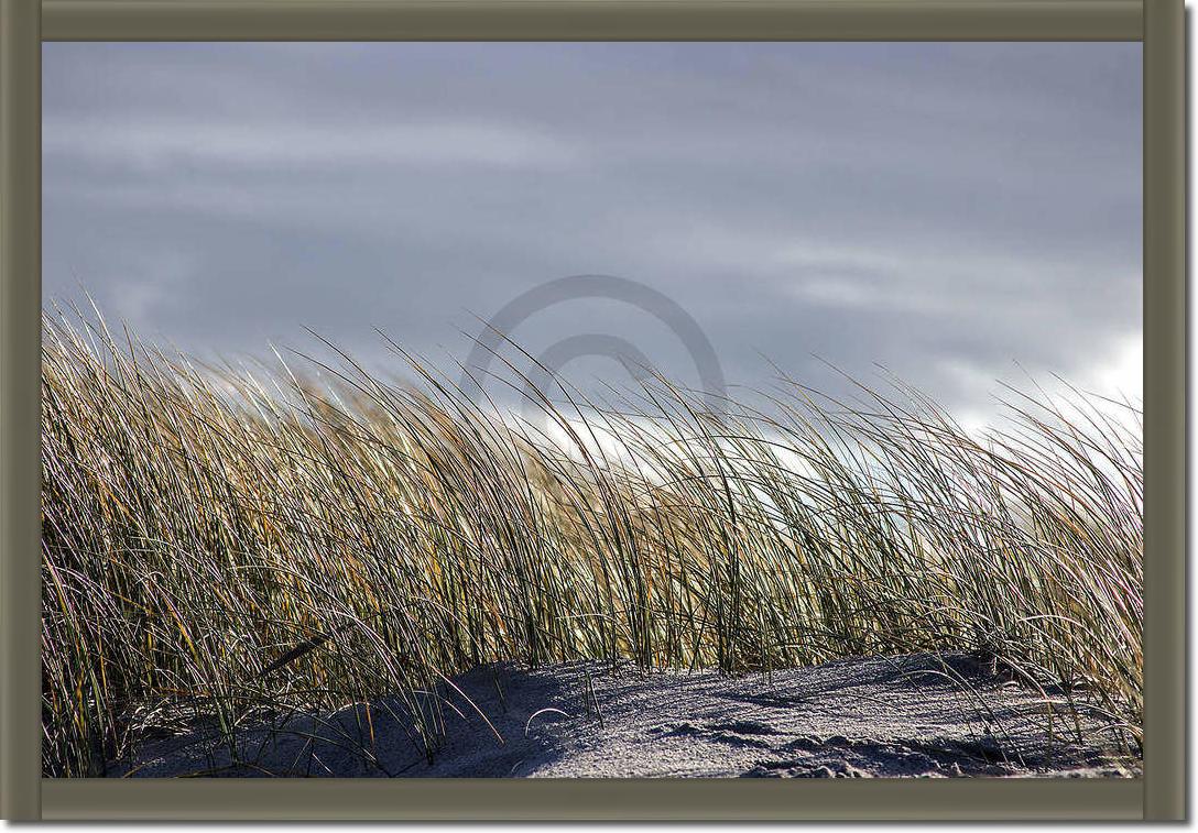 Insel Sylt II                    von Gerhard Rossmeissl