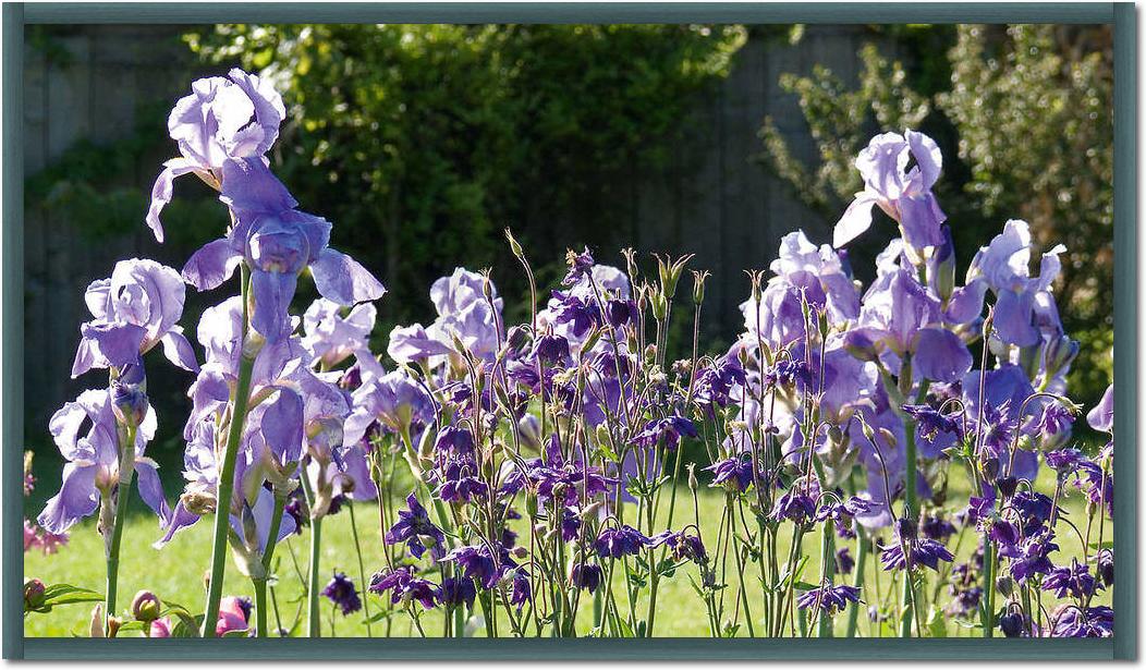 Lichtgarten                      von Sigi Loew