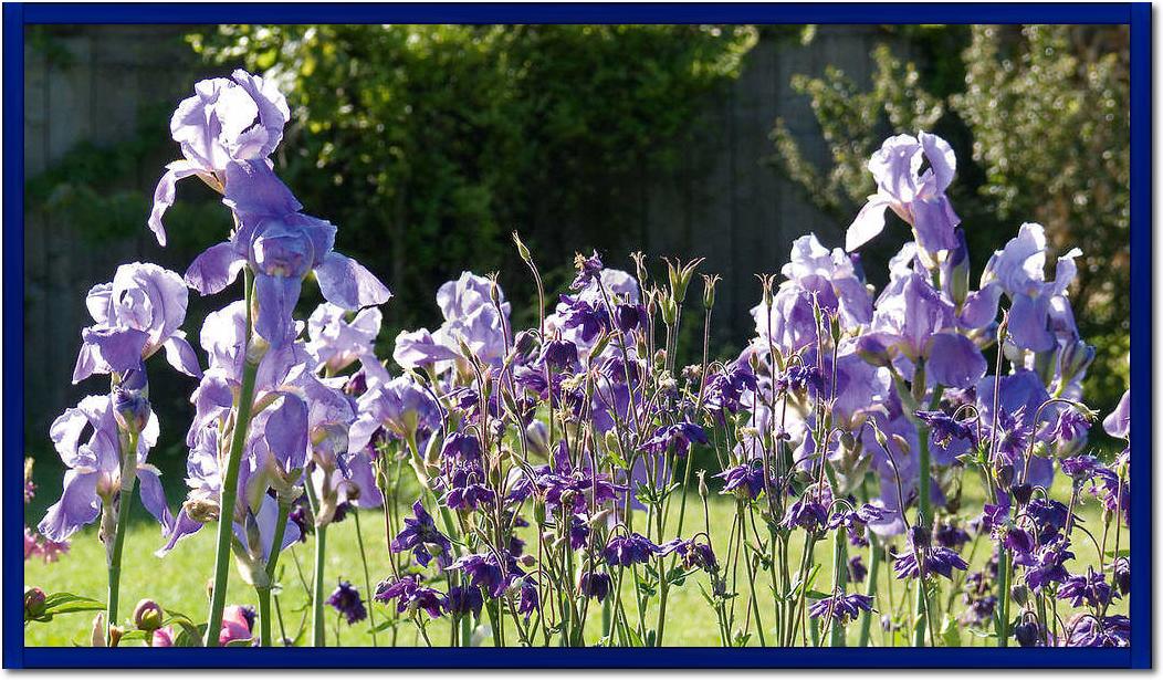 Lichtgarten                      von Sigi Loew