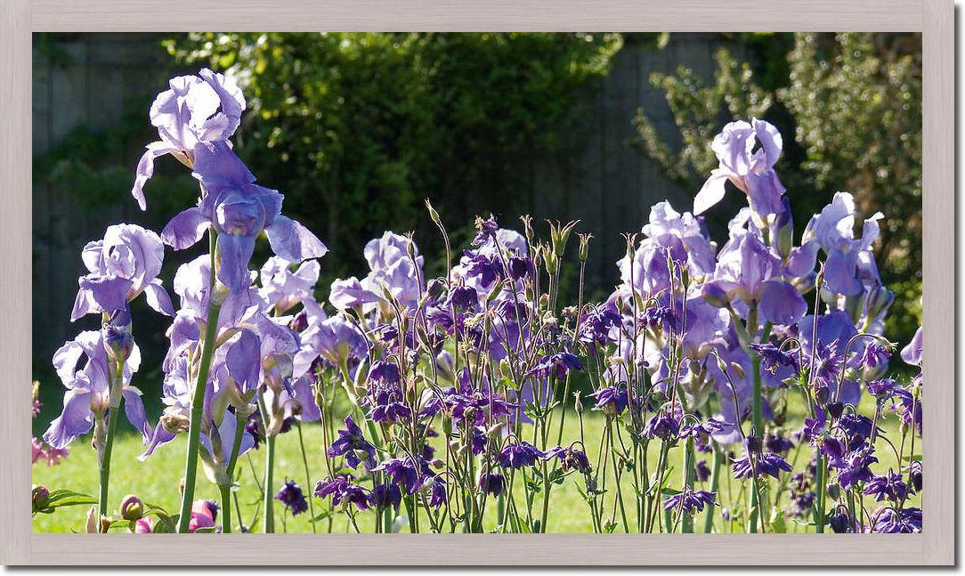 Lichtgarten                      von Sigi Loew