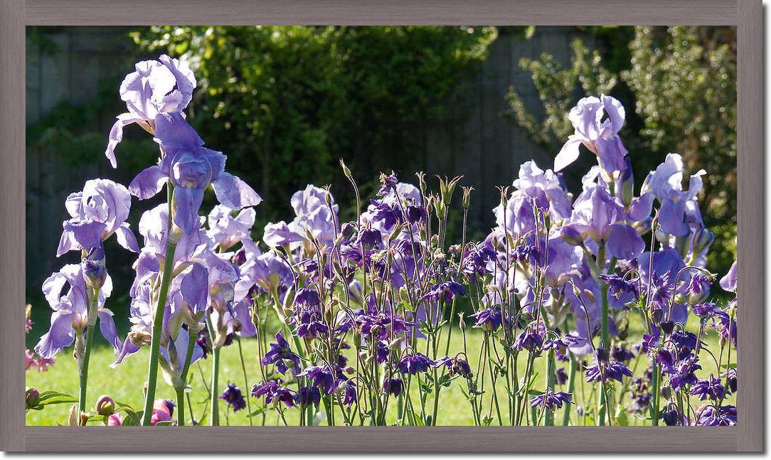 Lichtgarten                      von Sigi Loew