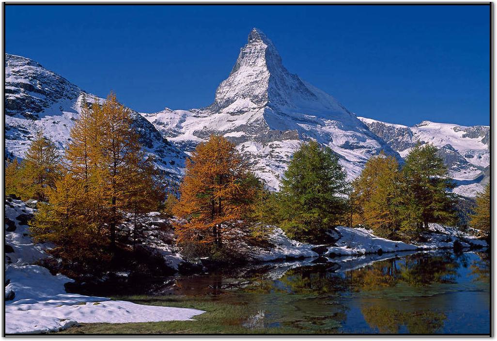 Matterhorn with Larches II       von Thomas Marent