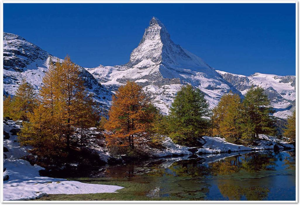 Matterhorn with Larches II       von Thomas Marent