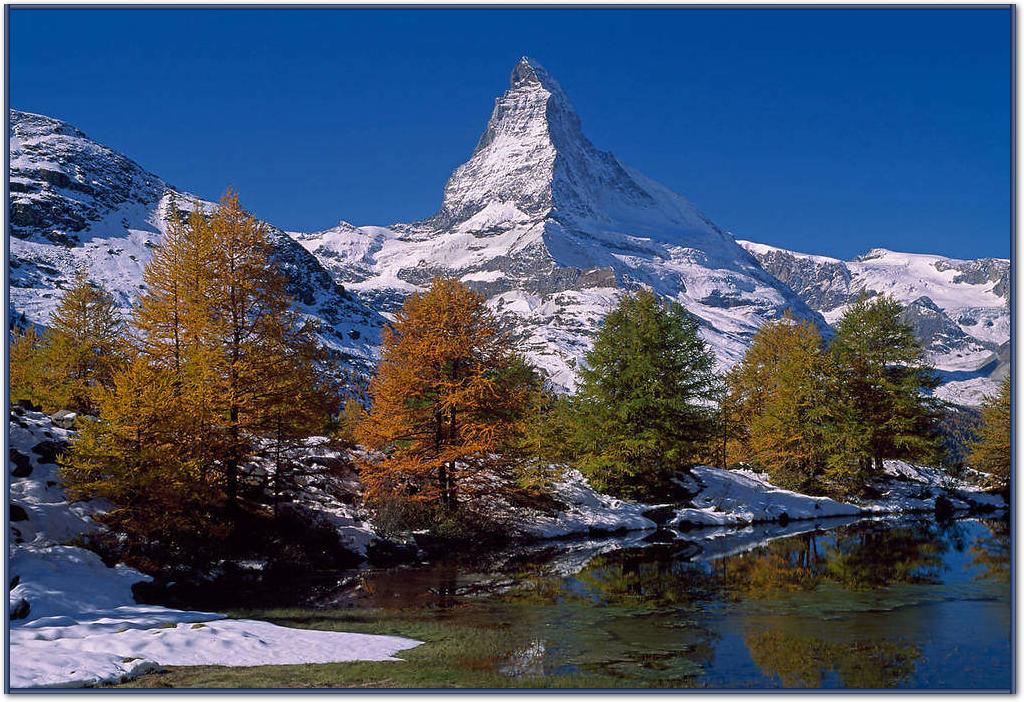 Matterhorn with Larches II       von Thomas Marent