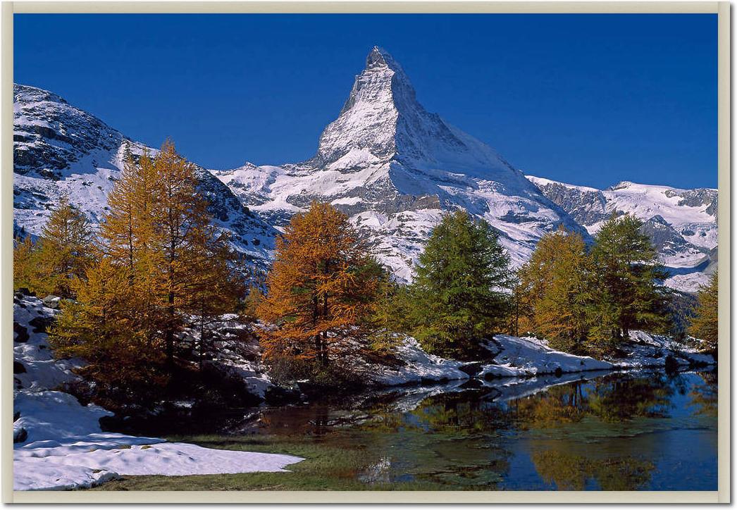 Matterhorn with Larches II       von Thomas Marent