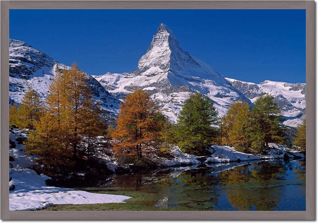 Matterhorn with Larches II       von Thomas Marent