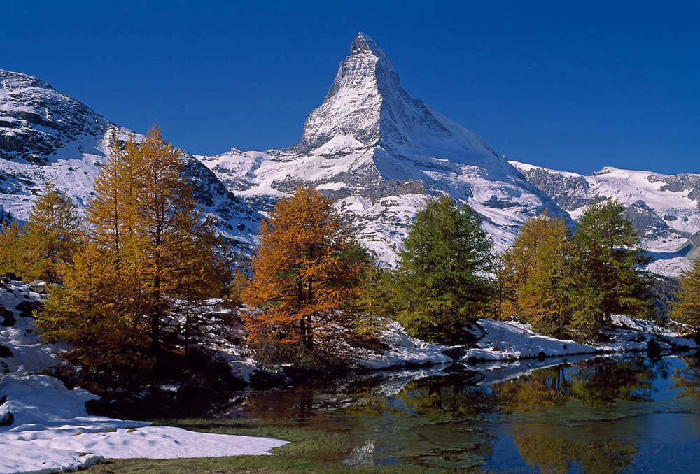 Matterhorn with Larches II       von Thomas Marent