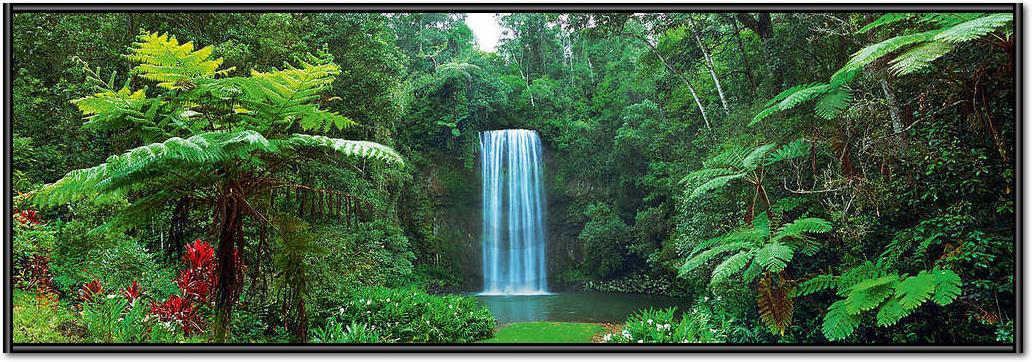 Millaa Millaa Falls, Australia   von John Xiong