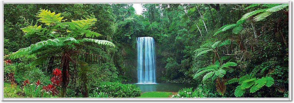 Millaa Millaa Falls, Australia   von John Xiong