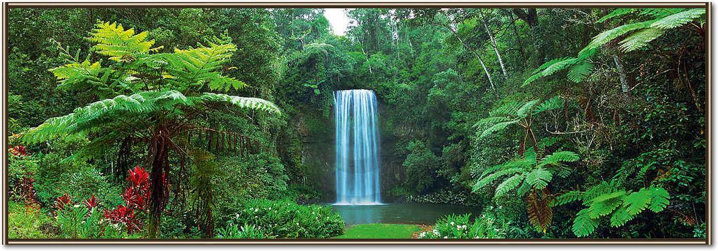 Millaa Millaa Falls, Australia   von John Xiong