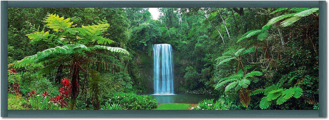 Millaa Millaa Falls, Australia   von John Xiong