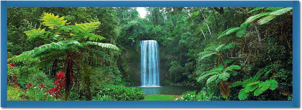 Millaa Millaa Falls, Australia   von John Xiong