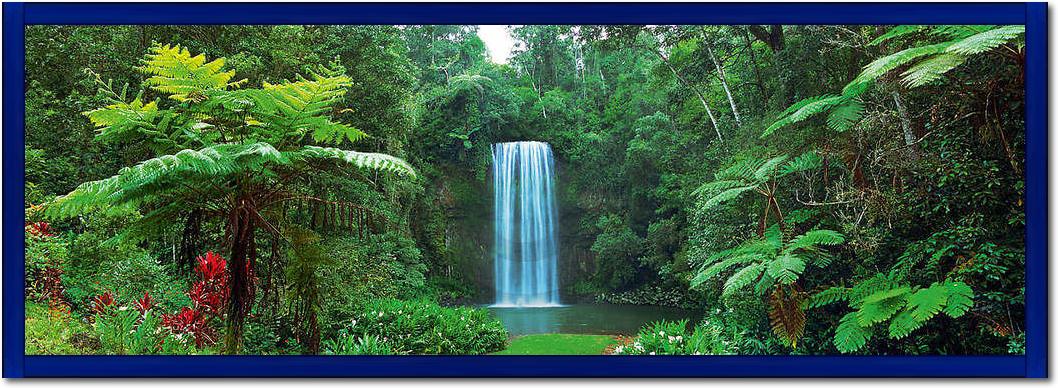 Millaa Millaa Falls, Australia   von John Xiong